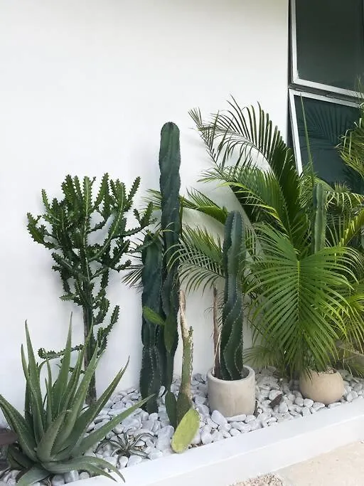 Tulum Villa Milagro